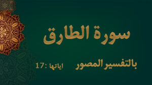 سورة الطارق