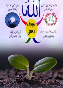 سبحان الخالق