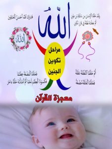 معجزة القرآن في خلق الإنسان