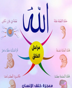 خريطة النجاح (معجزة خلق الانسان)