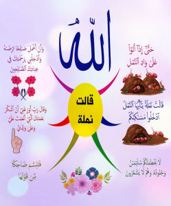 خريطة النجاح (سليمان 2)