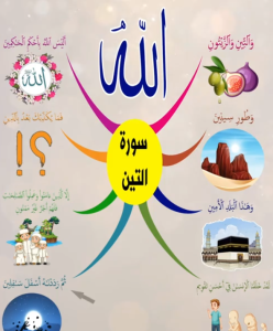 خريطة النجاح (سورة التين)