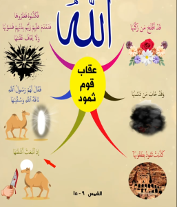 خريطة النجاح (سورة الشمس)