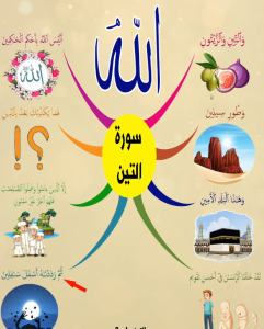 خريطة النجاح (سورة التين)