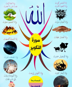 خريطة النجاح (سورة التكوير)