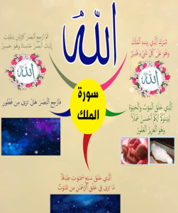 خريطة النجاح (سورة الملك)