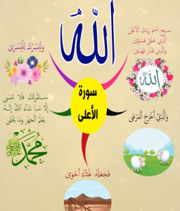 خريطة النجاح (سورة الأعلى)