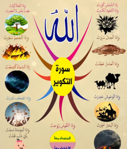 خريطة النجاح (سورة التكوير)